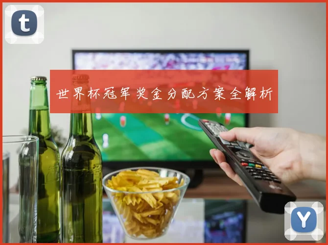 世界杯冠军奖金分配方案全解析