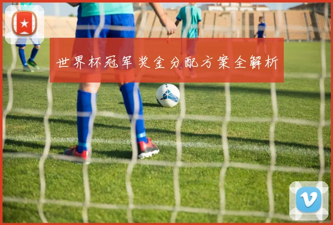 世界杯冠军奖金分配方案全解析