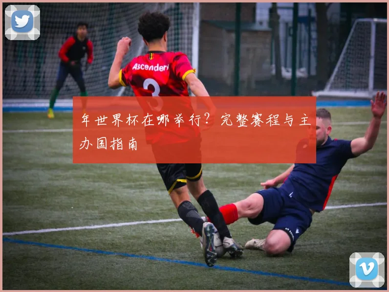 年世界杯在哪举行?完整赛程与主办国指南